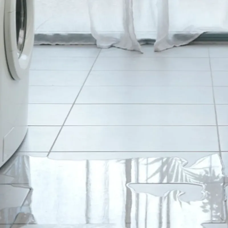 Appliance Leak Cleanup in Trempealeau County, WI