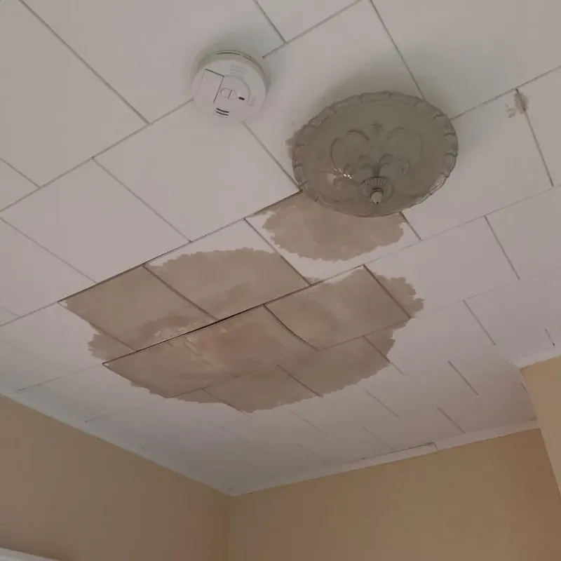 Ceiling Water Damage Repair in Trempealeau County, WI