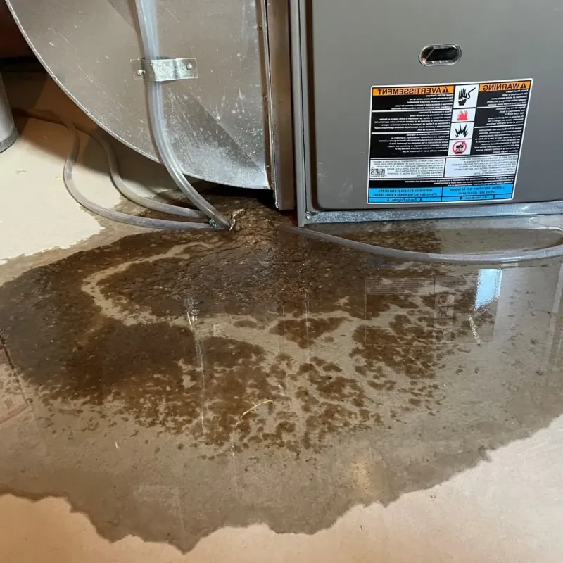 Pipe Burst and Leak Restoration in Trempealeau County, WI